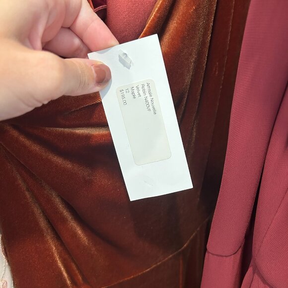 Amsale Nouvelle Robin Maple Velvet size 12 - Picture 2 of 2